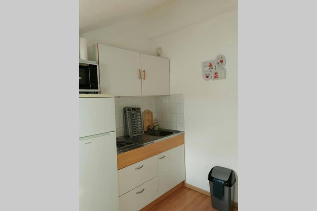 Petit Studio Mansarde 18 M2 Avec Navette Gratuit Aux Pistes De Ski Gresse-en-Vercors Dış mekan fotoğraf